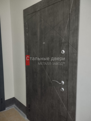 Фото двери №418