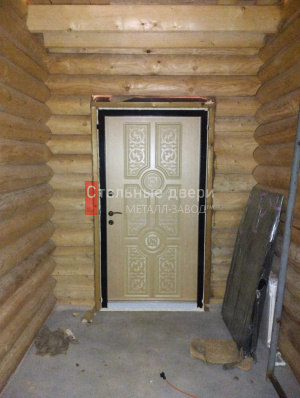 Фото двери №391