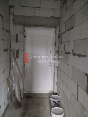 Фото двери №393