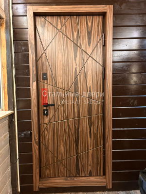Фото двери №299