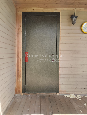 Фото двери №425