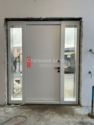 Фото двери №343